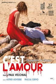 C’est l’amour Online In Netflix