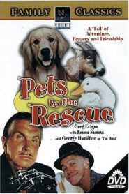 Pets Online In Netflix