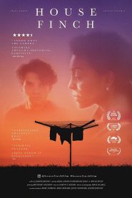 House Finch Online In Netflix