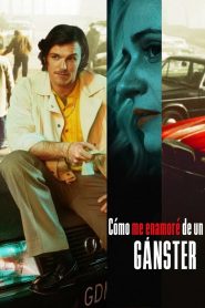 Cómo me enamoré de un gánster Online In Netflix