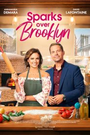 Sparks Over Brooklyn Online In Netflix