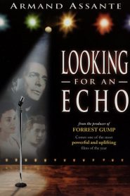 Looking for an Echo Online In Netflix