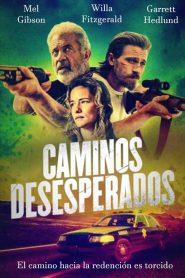 Ruta sin salida Online In Netflix