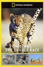 Cheetahs: The Deadly Race Online In Netflix