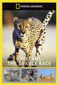 Cheetahs: The Deadly Race Online In Netflix