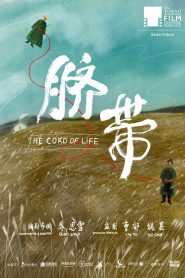 脐带 Online In Netflix