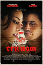 Cry Now Online In Netflix