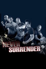 Never Surrender Online In Netflix
