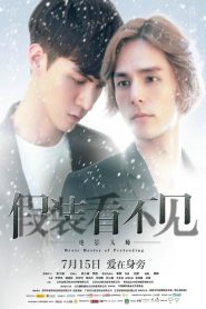 假装看不见之电影大师 Online In Netflix