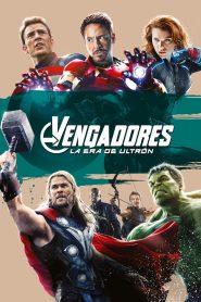 Avengers 2: Era de Ultrón Online In Netflix