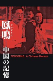 和凤鸣 Online In Netflix