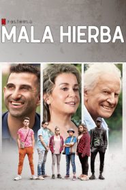 Mala hierba Online In Netflix