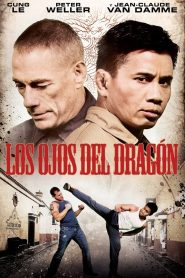 Dragon Eyes Online In Netflix