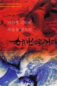 해변으로 가다 Online In Netflix