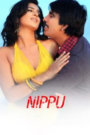నిప్పు Online In Netflix