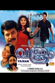 വജ്രം Online In Netflix