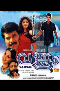 വജ്രം Online In Netflix