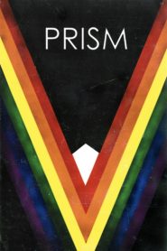 Prism Online In Netflix