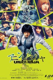 アンダーニンジャ Online In Netflix