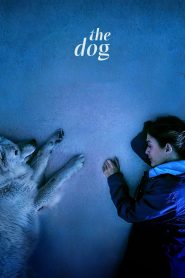The Dog Online In Netflix
