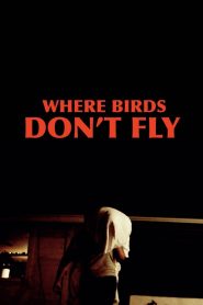 Where Birds Don’t Fly Online In Netflix