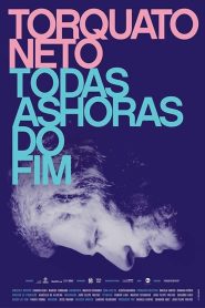 Torquato Neto – Todas as Horas do Fim Online In Netflix