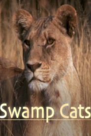Swamp Cats Online In Netflix