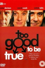 Too Good to Be True Online In Netflix