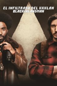 El infiltrado del KKKlan Online In Netflix