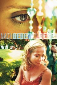 Nachbeben Online In Netflix