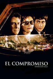 La vida continúa Online In Netflix