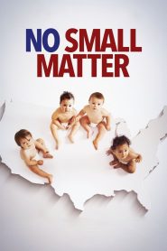 No Small Matter Online In Netflix