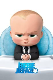 Un Jefe en Pañales Online In Netflix