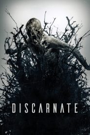 Discarnate Online In Netflix