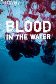 Blood in the Water Online In Netflix