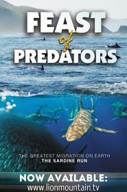 Feast of Predators Online In Netflix