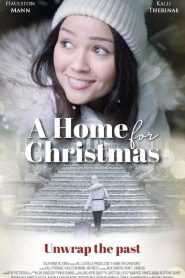 A Home for Christmas Online In Netflix