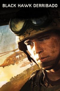 La caída del halcón negro Online In Netflix