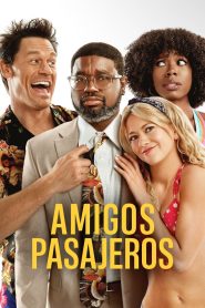 Amigos de las vacaciones Online In Netflix