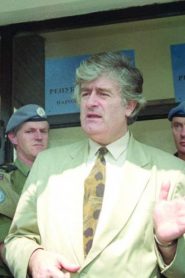 Život i priključenije Radovana Karadžića Online In Netflix
