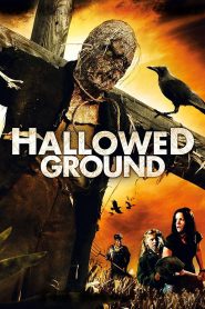 Hallowed Ground Online In Netflix