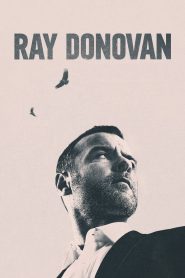 Ray Donovan, la película Online In Netflix