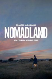 Nomadland Online In Netflix