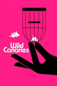 Wild Canaries Online In Netflix