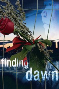 Finding Dawn Online In Netflix