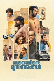 നാരായണീൻ്റെ മൂന്നാൺമക്കൾ Online In Netflix