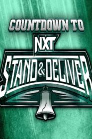 WWE Countdown to NXT Stand & Deliver 2024 Online In Netflix