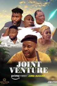 Joint Venture Online In Netflix