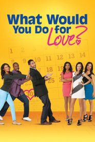 What Would You Do for Love Online In Netflix