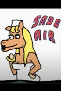 Sado Air Online In Netflix